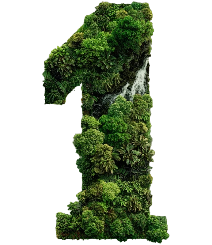 tree-one